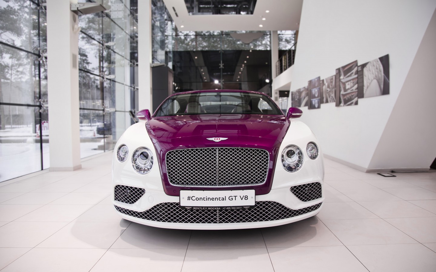 LADY`S COLLECTION SPB - изображение IMG_9515 на Bentleymoscow.ru!