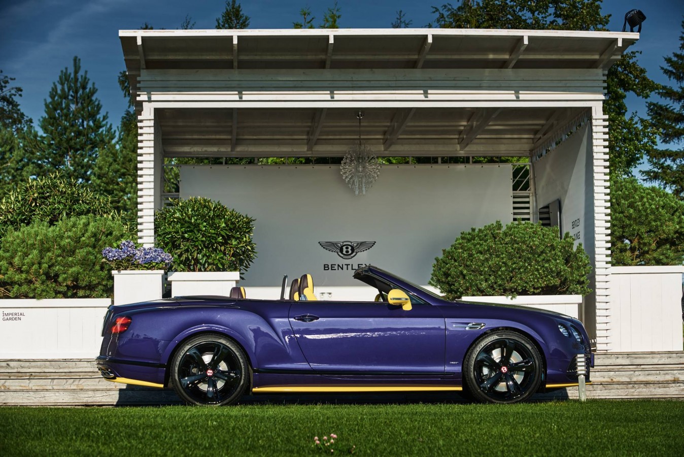 LADY`S COLLECTION SPB - изображение STV_7467 на Bentleymoscow.ru!